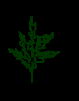 Media image