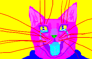Ugly Kat