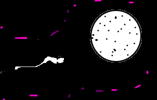 Media image