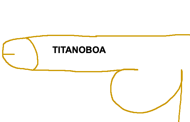 The monster that is Kaos\' hog: Titanoboa