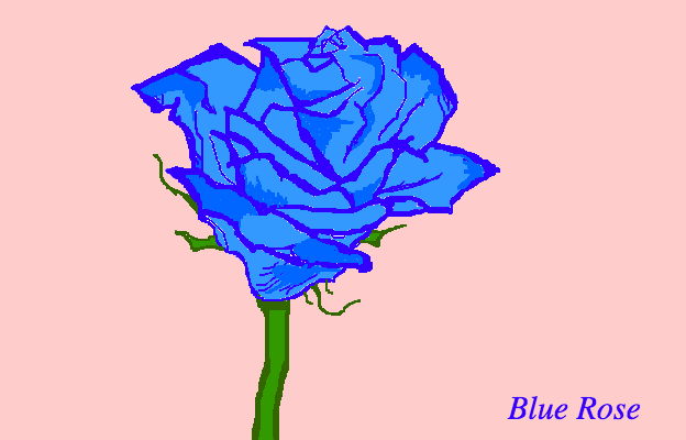 Blue Rose\'s are unique...