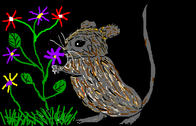 a fat little mouse so cute