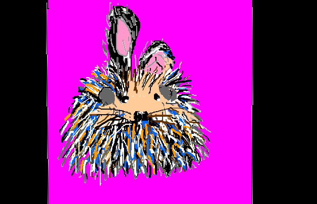 A bunny hedgehog