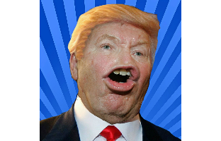 Media image