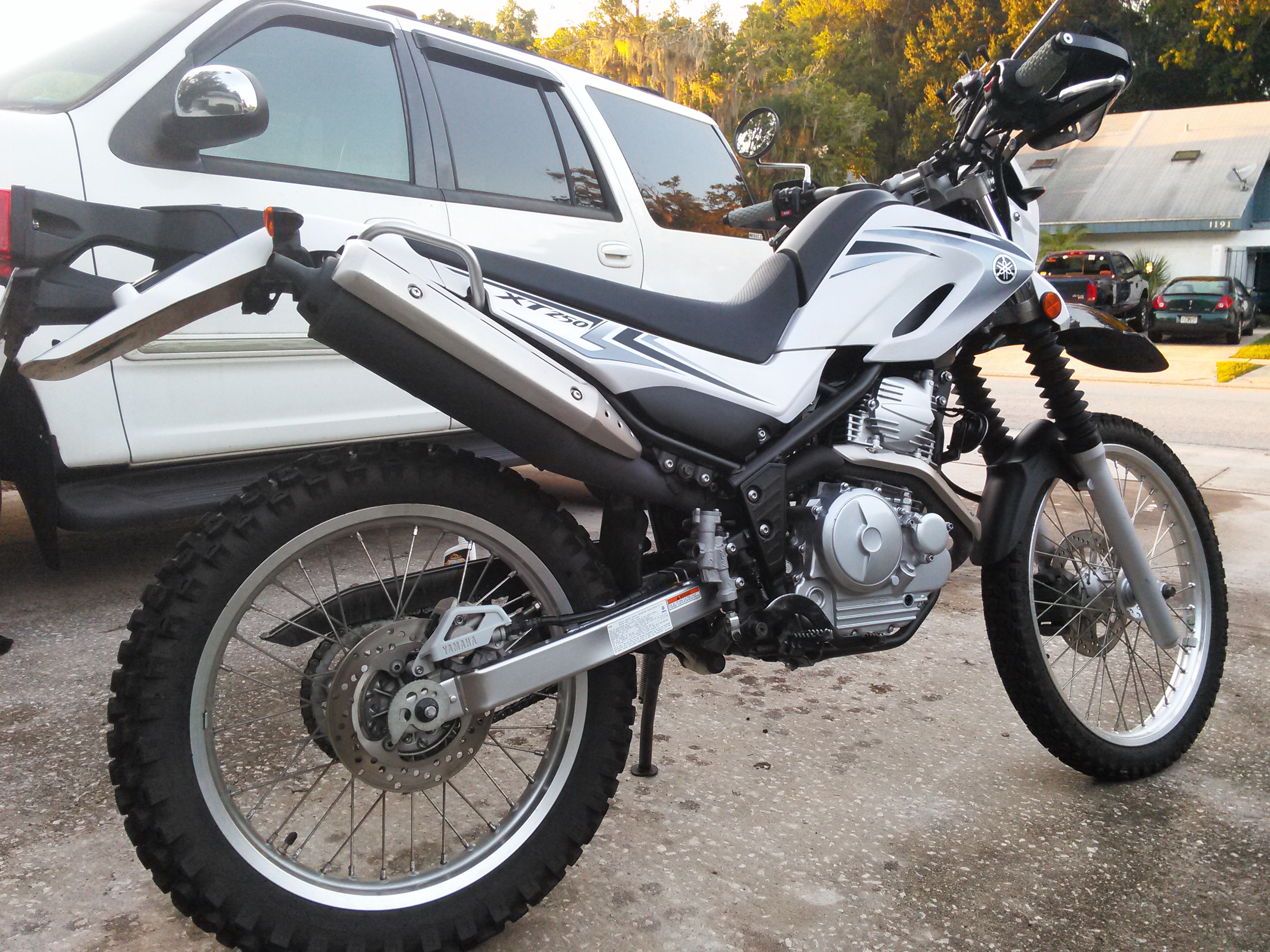 Trusty Steed