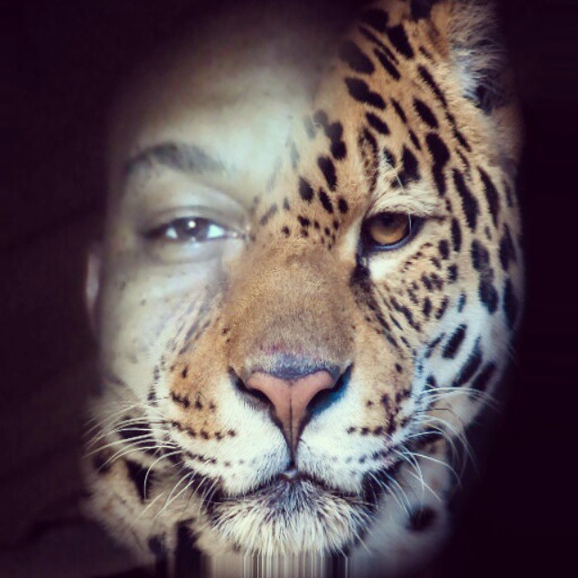 Eye of the tiger, lol