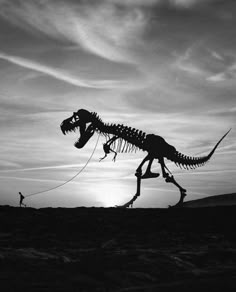 Rog walking his pet TRex