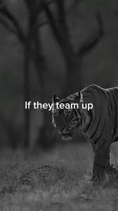 👆
