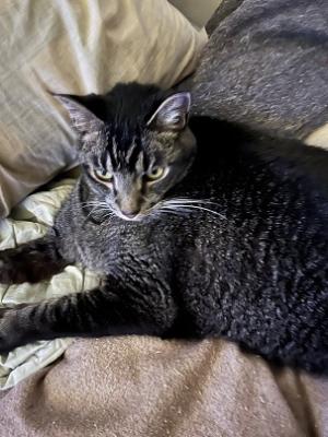 grendel_mn's profile