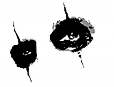 Alice_Cooper's profile