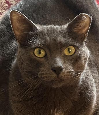 tubshark's profile